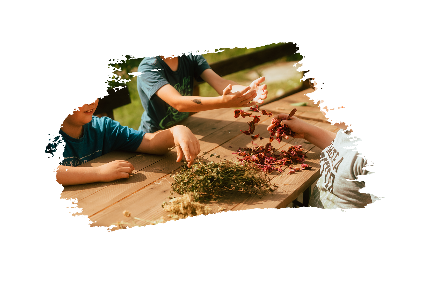 AGROTURYSTYKA-NAD-JEZIOREM